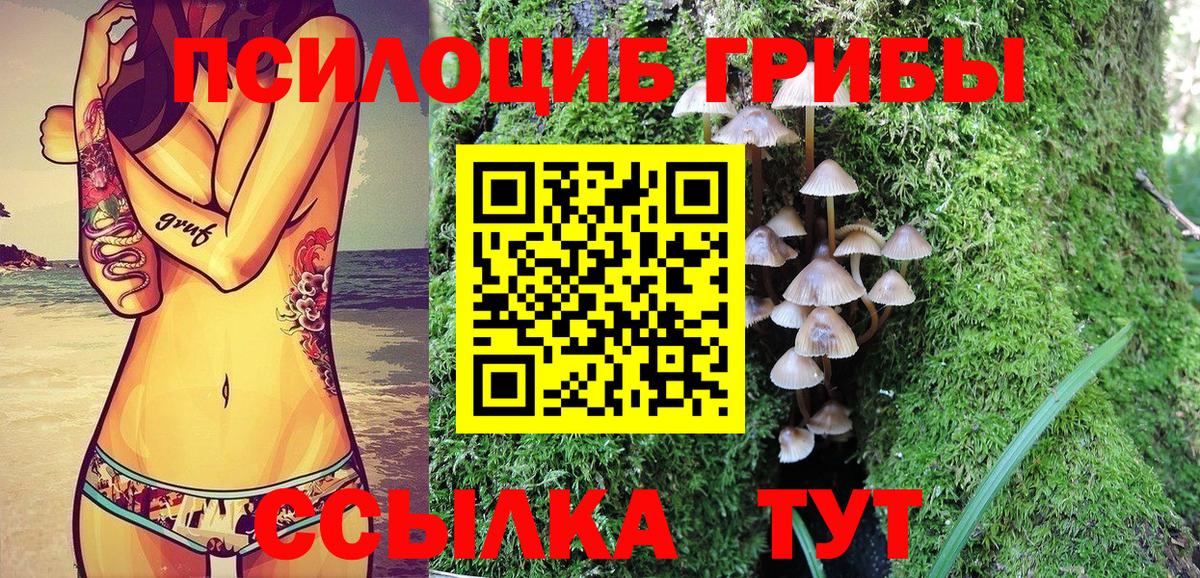 Галлюциногенные грибы прущие грибы  Вход с VPN  Кушва 
