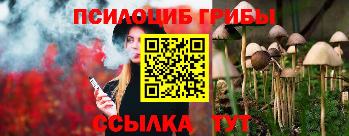 Псилоцибиновые грибы MAGIC MUSHROOMS Кушва